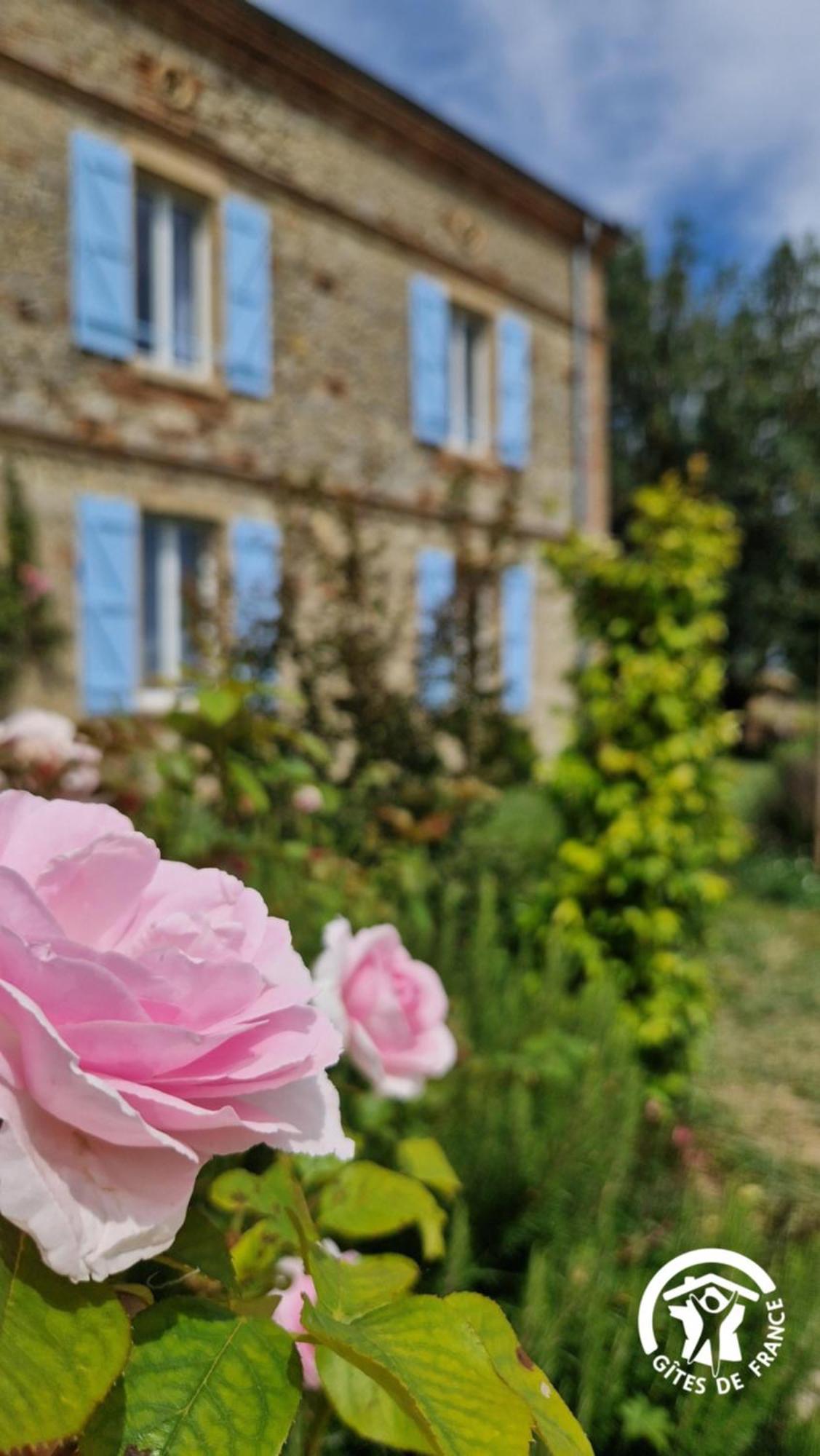 Aux Roses De Cedres Chambre Savane Salvagnac Exteriér fotografie