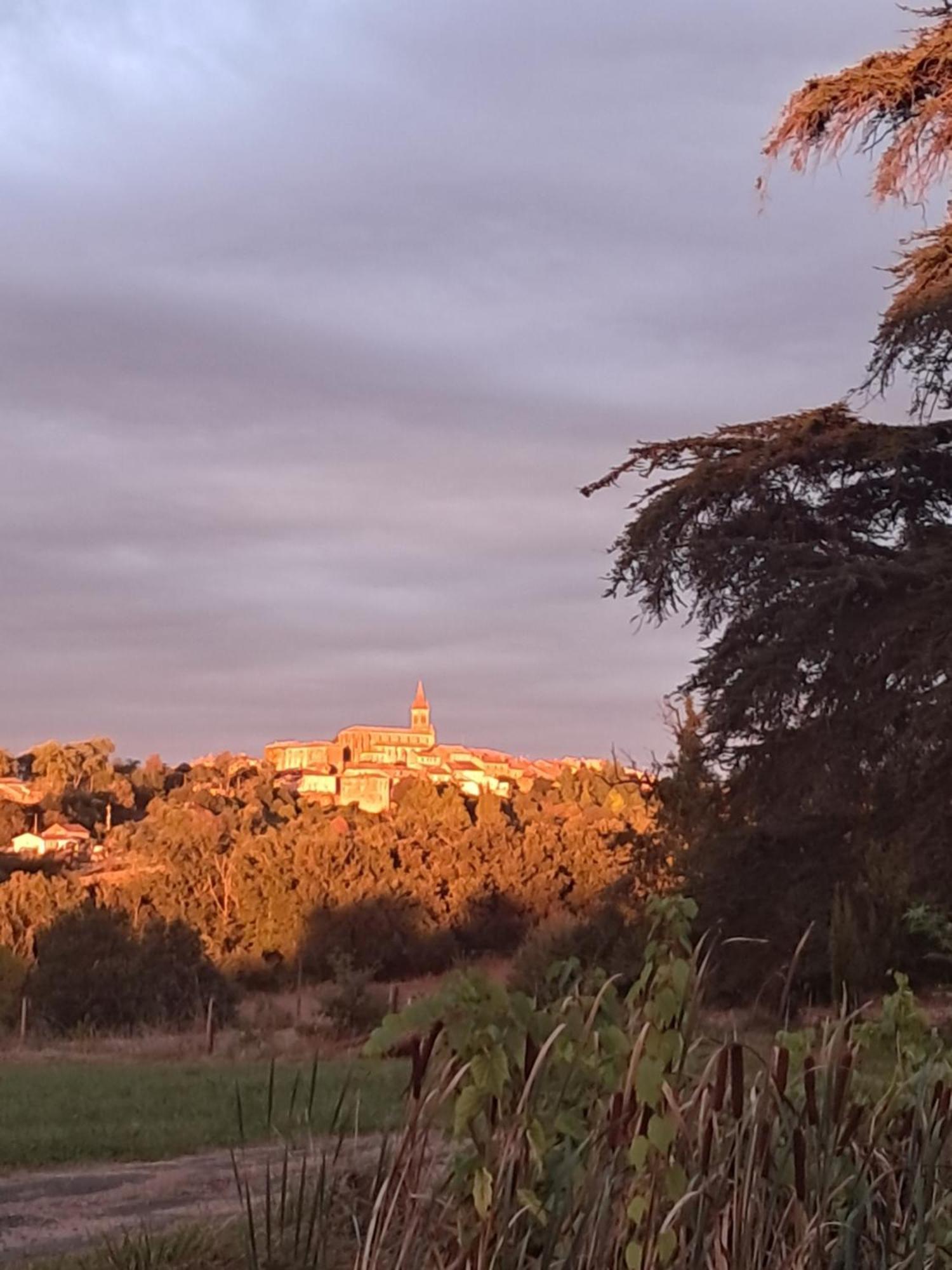 Aux Roses De Cedres Chambre Savane Salvagnac Exteriér fotografie
